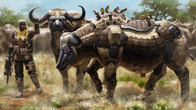 如何评价威海这个城市？